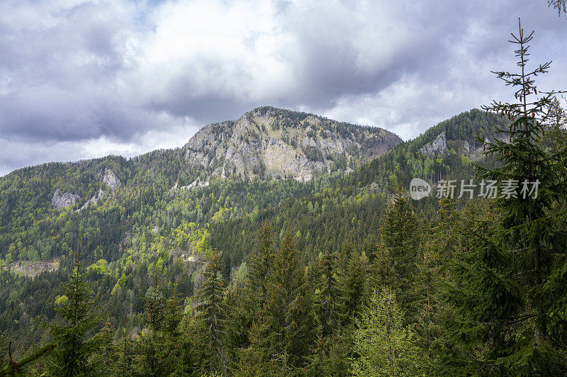 Zgornje Jezersko山谷在春天的景色